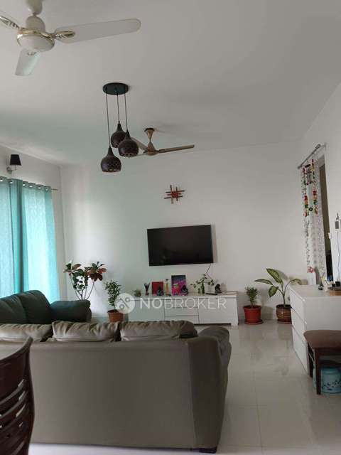 2 BHK Flat In Vishwa Aseemvishwa For Sale  In Chinchwad