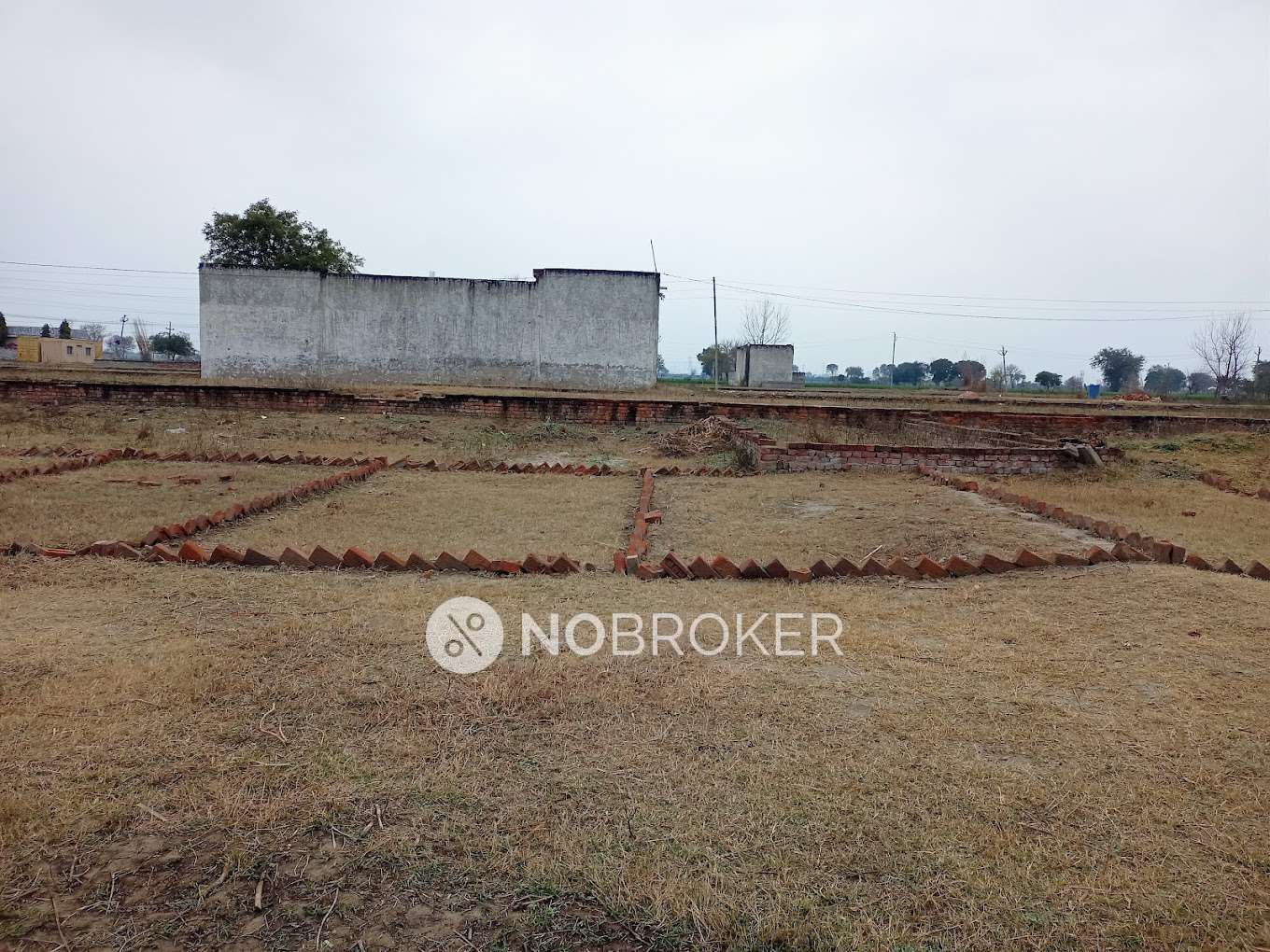 Plot For Sale  In Ms Taj City Phase 17 In Tronica City