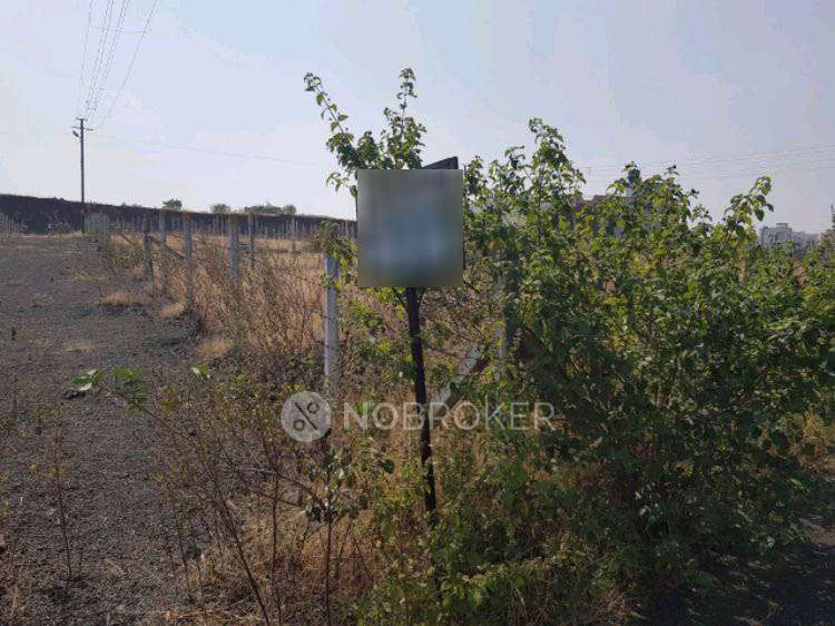 Plot For Sale  In Charholi Budruk
