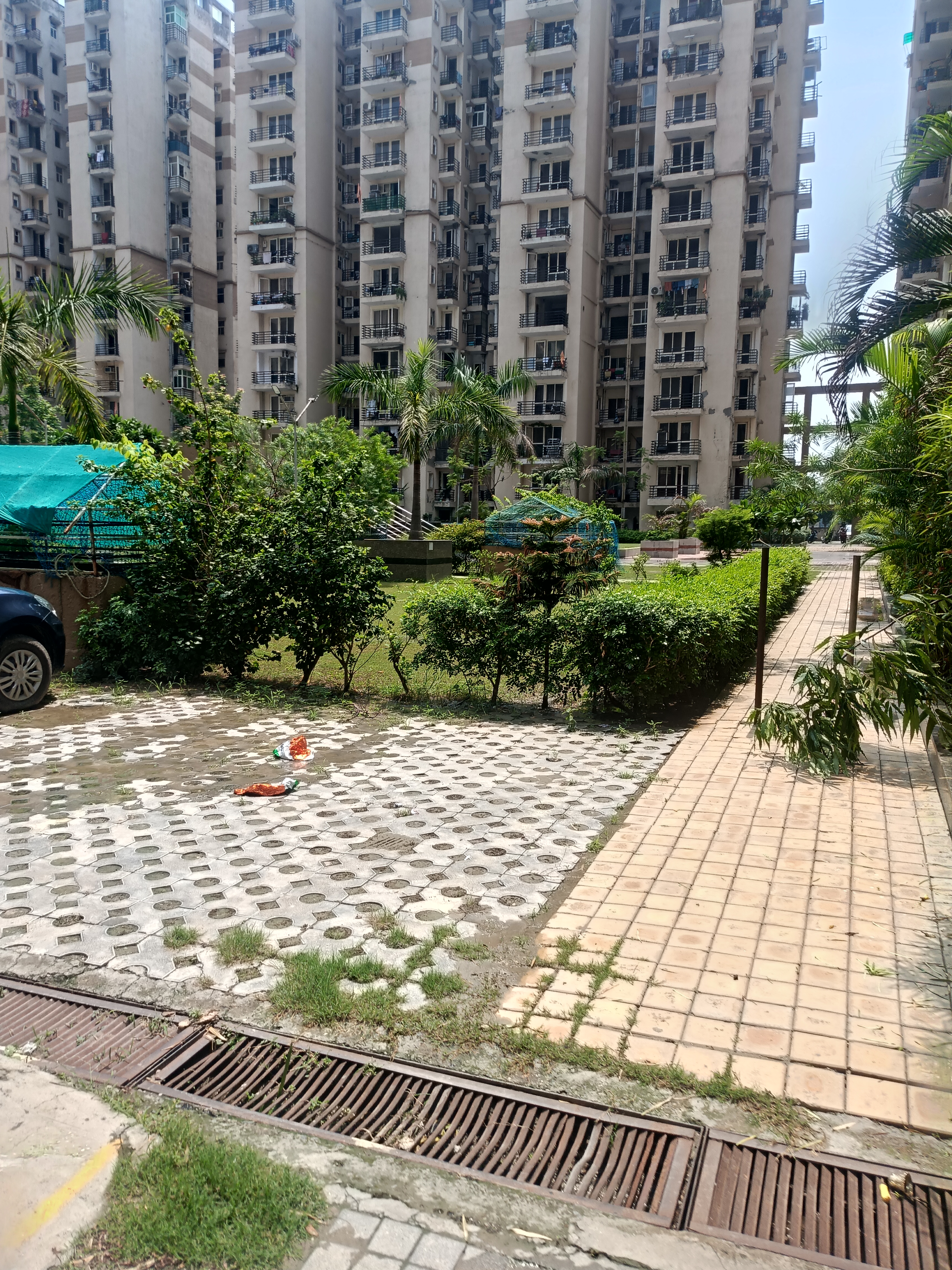 Dev Sai - Sportshome