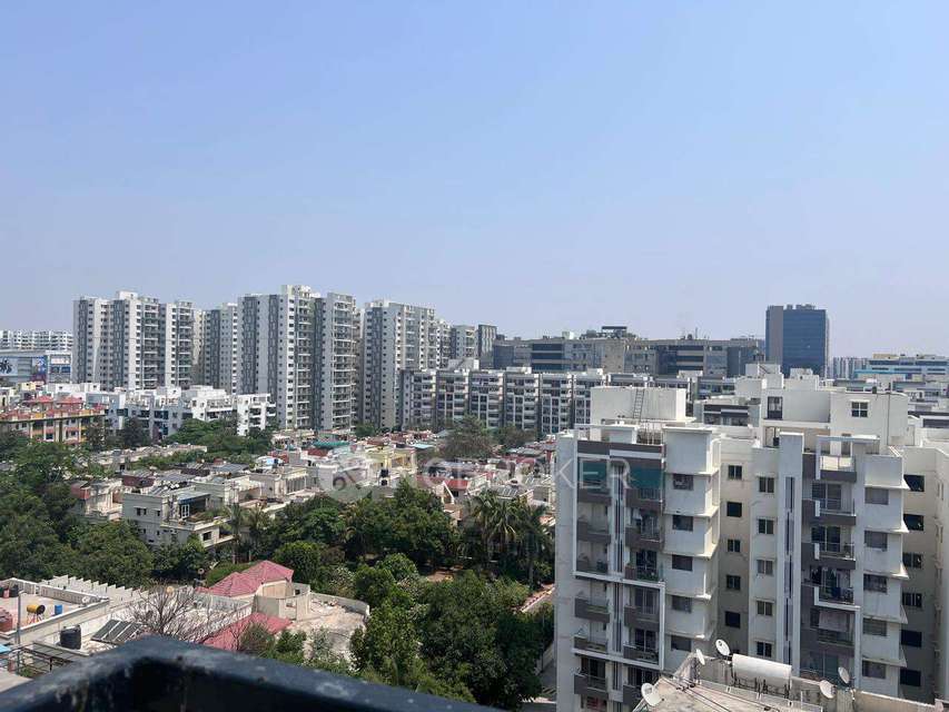 4+ BHK Flat In Manbhum Around The Grove For Sale  In Kondapur