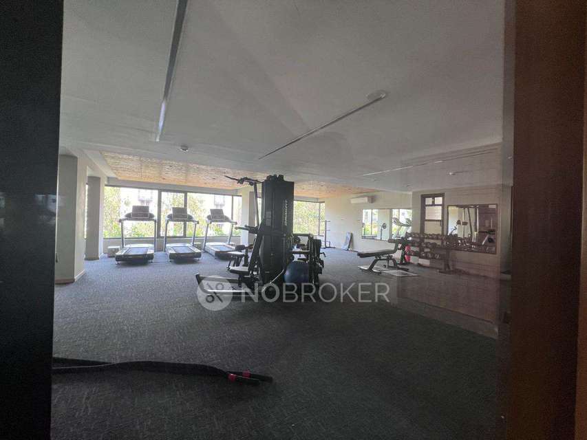 4+ BHK Flat In Manbhum Around The Grove For Sale  In Kondapur