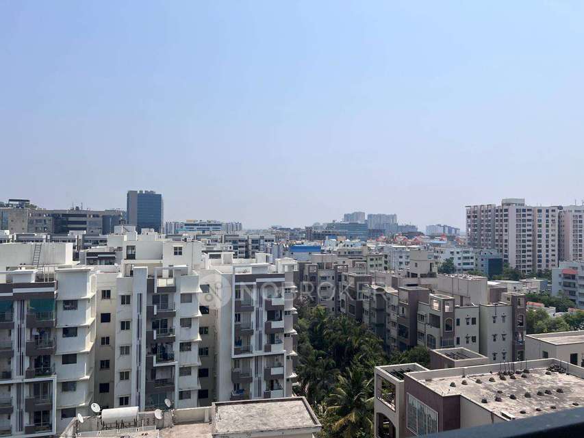 4+ BHK Flat In Manbhum Around The Grove For Sale  In Kondapur