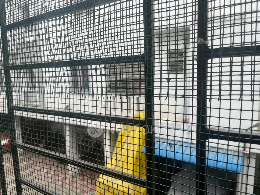 1 BHK Flat In Snss White Petals For Sale  In Kattupakkam