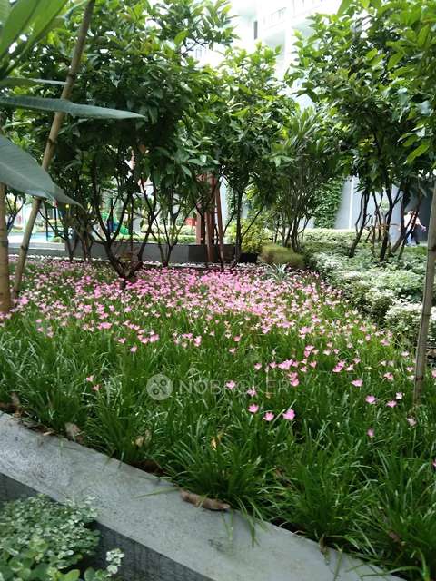 2 BHK Flat In Godrej 24 For Sale  In Hinjewadi, Pune