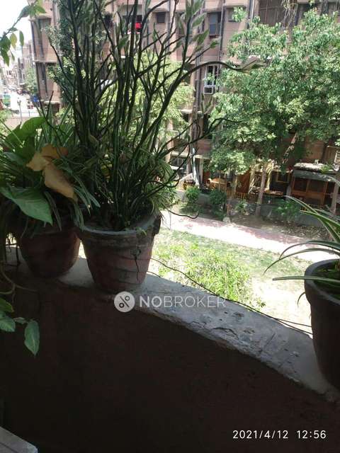 2 BHK Flat In Rajat Vihar For Sale  In Sector 62
