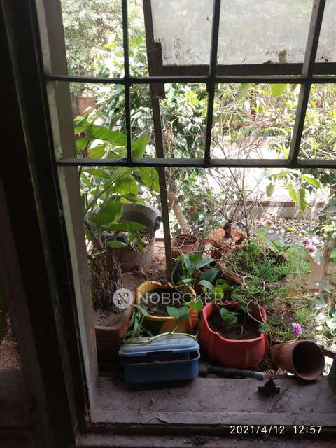 2 BHK Flat In Rajat Vihar For Sale  In Sector 62