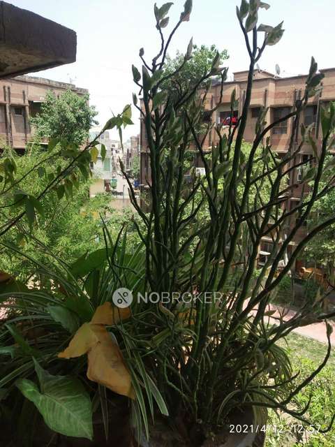 2 BHK Flat In Rajat Vihar For Sale  In Sector 62