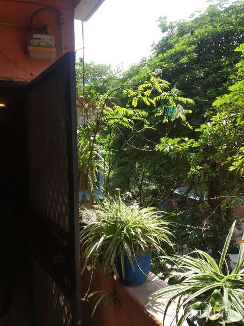 2 BHK Flat In Rajat Vihar For Sale  In Sector 62