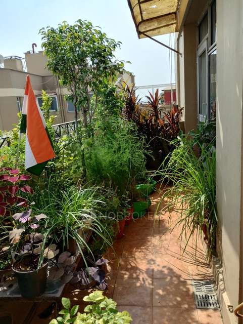 4+ BHK Flat In Dlf Silver Oaks Apartments For Sale  In Sector 26