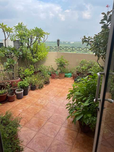 4+ BHK Flat In Dlf Silver Oaks Apartments For Sale  In Sector 26