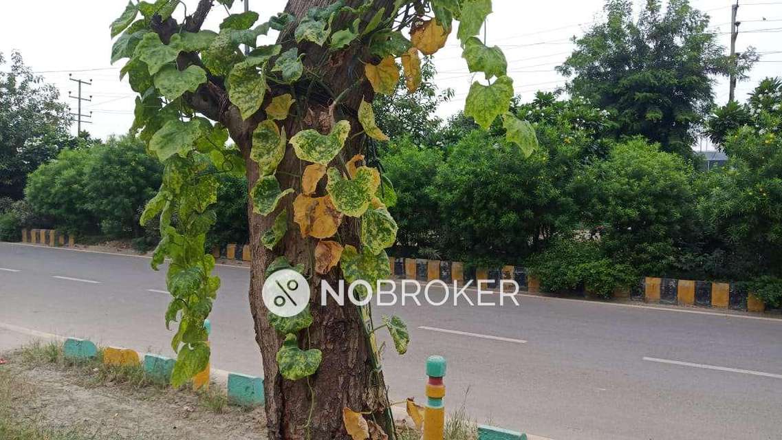 2 BHK Flat In Solace For Sale  In Shakti Khand 