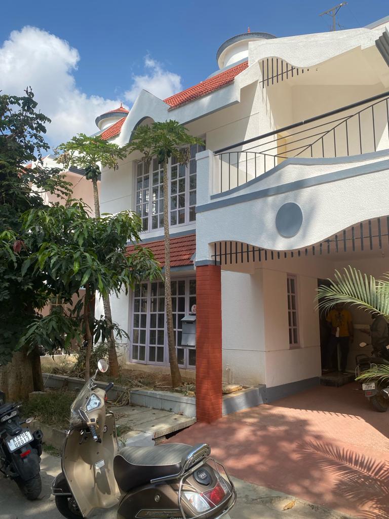 Silicon Valley, Electronic City