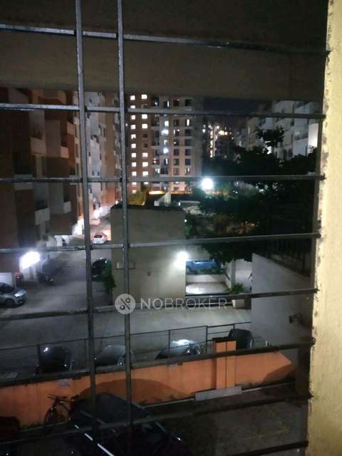 Shared Room for Female In 1 BHK  In Savannah 2 Chs In Wagholi