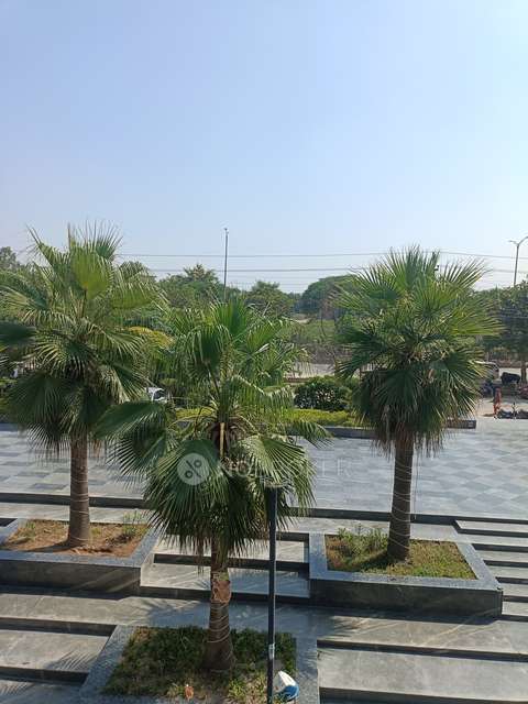 Shop in Sector 16, Greater_noida for sale 