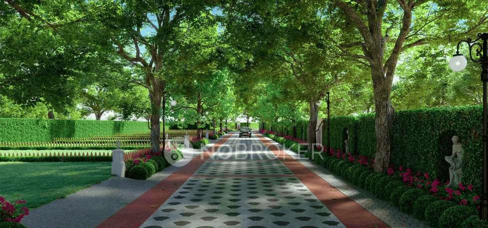 3 BHK Flat In Paras Floret For Sale  In Sector 59