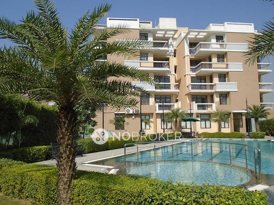 3 BHK Flat In Eldeco Mystic Greens Greater Noida for Rent  In Omicron I