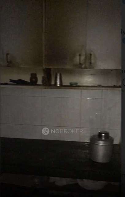 1 BHK Flat In Standalone Building  for Rent  In Malviya Nagar