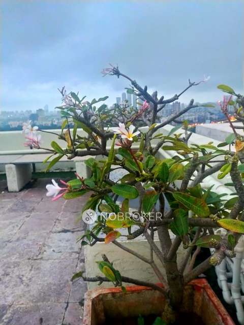 2 BHK Flat In Vedic Heights For Sale  In Kandivali East