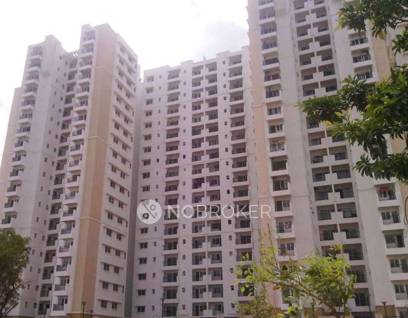 1 BHK Flat In Prestige Tranquility For Sale  In Budigere