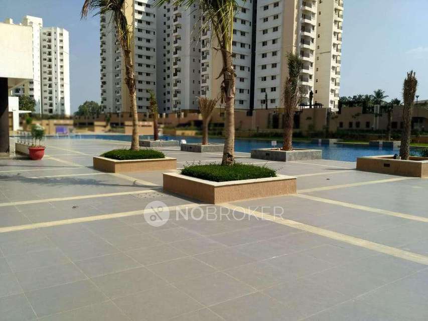 1 BHK Flat In Prestige Tranquility For Sale  In Budigere