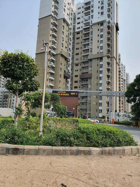 3 BHK Flat In Lotus Apartment  For Sale  In Sector 99