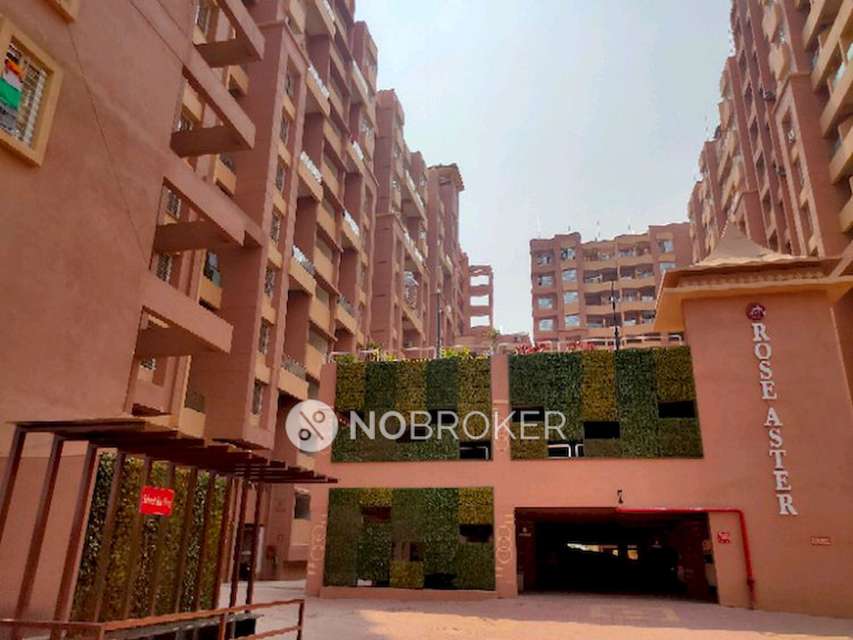 2 BHK Flat In Gk Rose Aster for Rent  In Gaikwad Nagar, Punawale