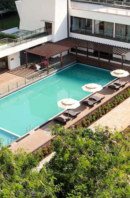 3 BHK Flat In Kolte Patil Little Earth, Kiwale for Rent  In Kiwale