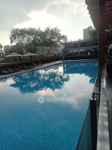 2 BHK Flat In Kolte Patil Little Earth Apartments For Sale  In Pimpri-chinchwad