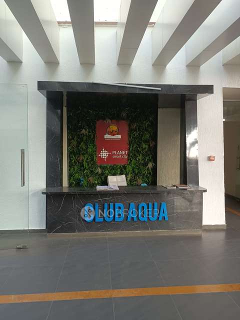 2 BHK Flat In Kolte Patil Little Earth Apartments For Sale  In Pimpri-chinchwad