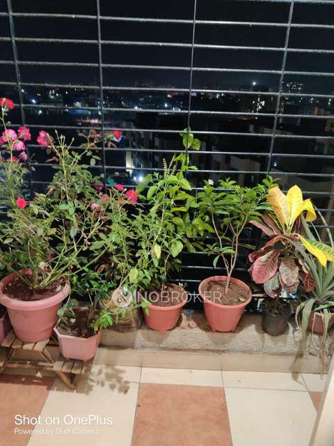 2 BHK Flat In Mohan Willows For Sale  In Badlapur East