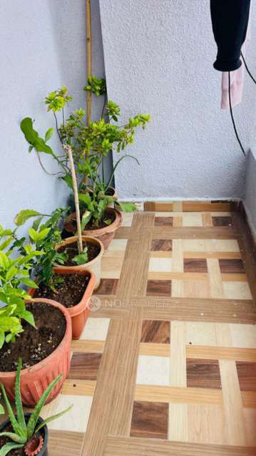 1 BHK Flat In Darsha House  for Rent  In Darsha House