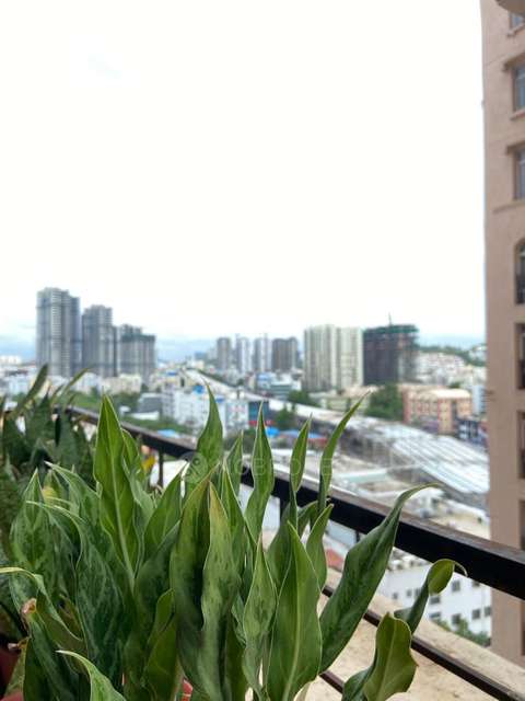 3 BHK Flat In Aditya Empress Towers For Sale  In Shaikpet