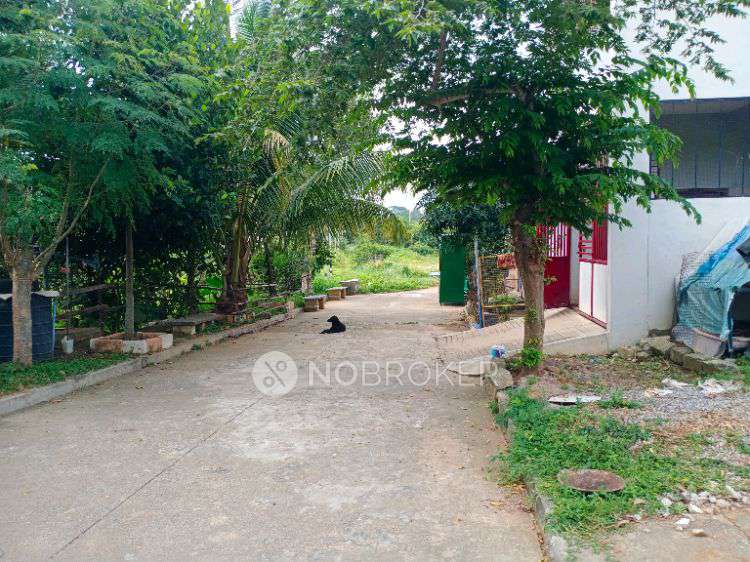 4+ BHK Flat For Sale  In Uttarahalli Hobli