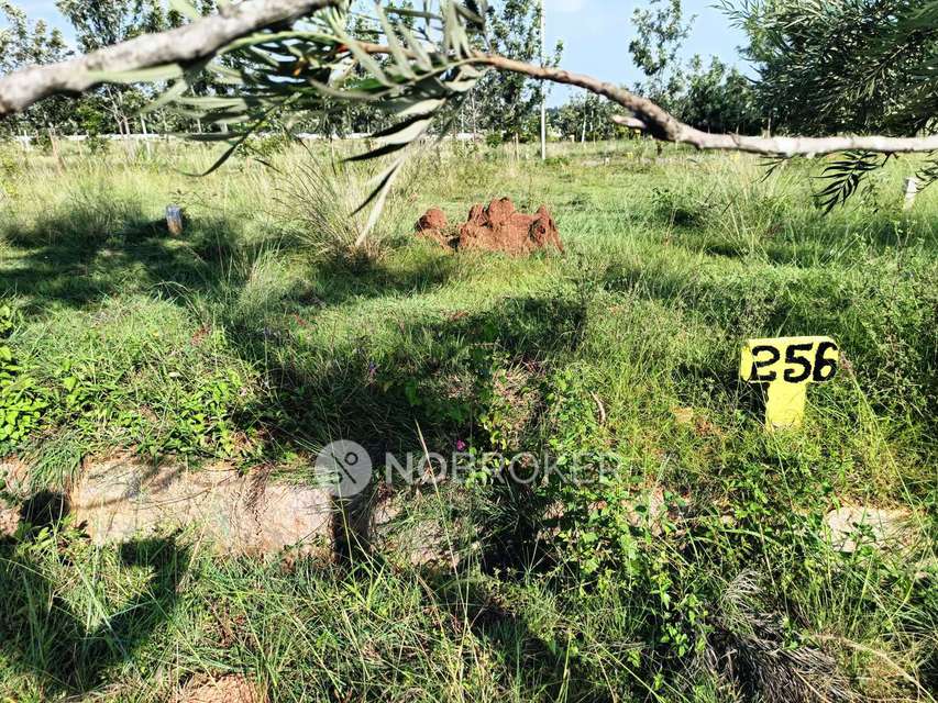 Plot For Sale  In Rajagopala Nagar, Peenya