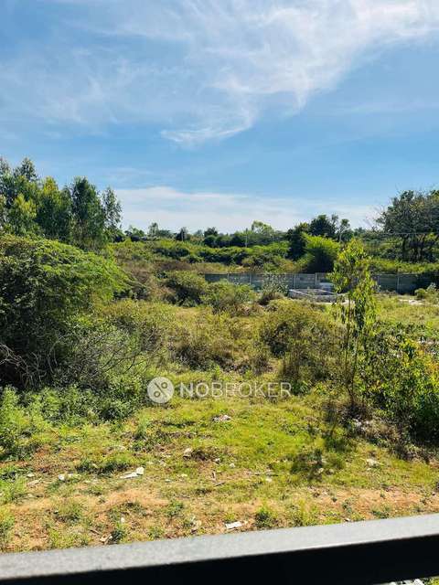 3 BHK Flat In Confident Snow Flake For Sale  In Sarjapur Road