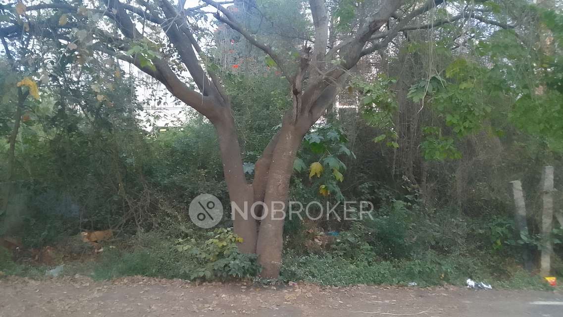 Plot For Sale  In Singasandra