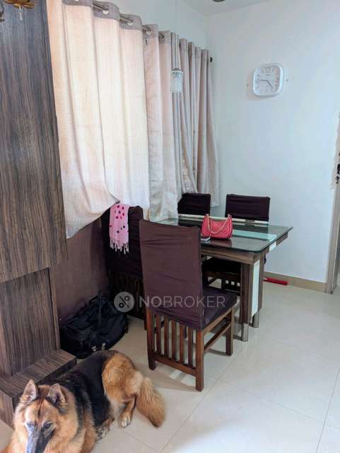 2 BHK Flat In Magarpatta City Iris for Rent  In Hadapsar