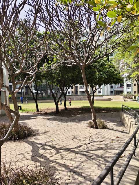 2 BHK Flat In Magarpatta City Iris for Rent  In Hadapsar