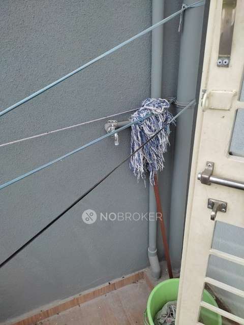 1 BHK Flat In Spring Woods for Rent  In Hinjawadi