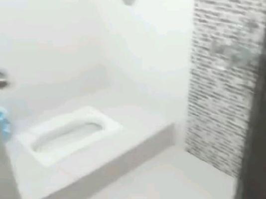 2 BHK Flat In Opulent Central Park for Rent  In Manjari Budruk