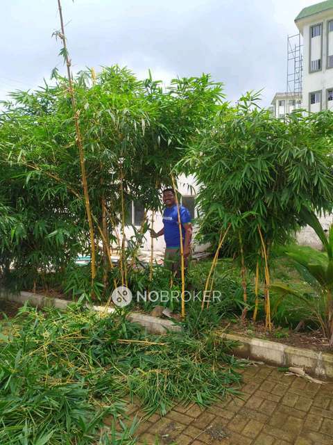 1 BHK Flat In Playtor Paud For Sale  In Paud Gaon