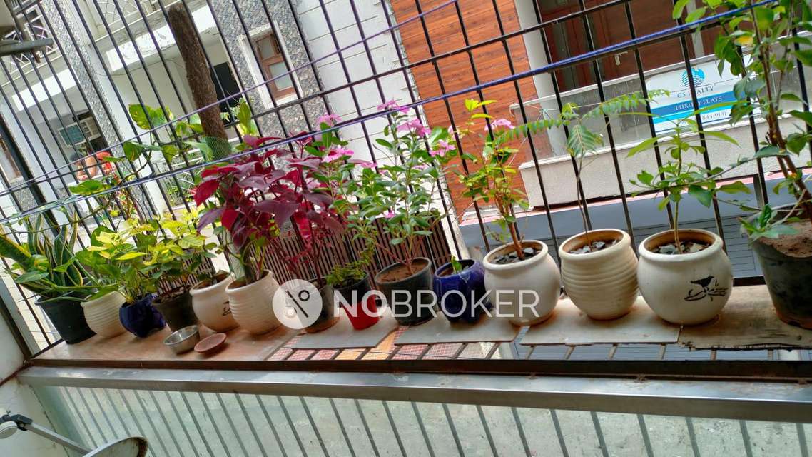 2 BHK Flat In Mandi Estate Rwa For Sale  In Mandi