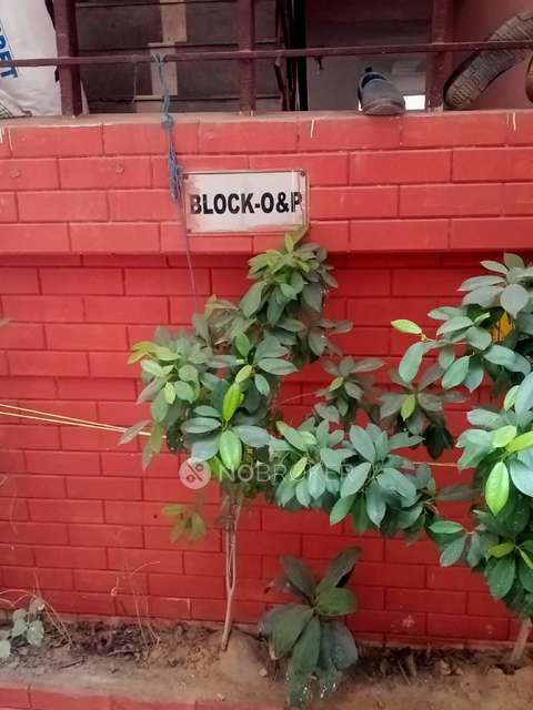 3 BHK Flat In Chaitanya Apartment For Sale  In Kapas Hera