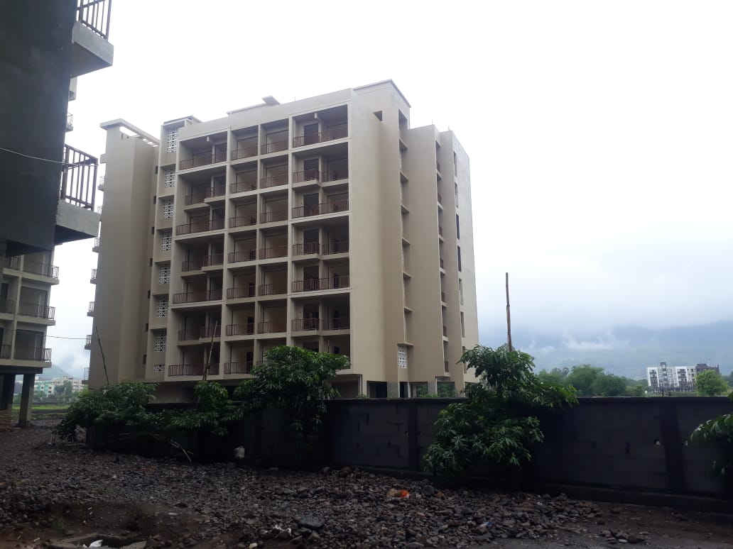 Silverleaf Saushilya