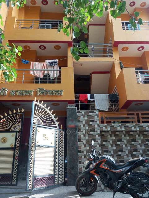 PG for Boys in Sector 66