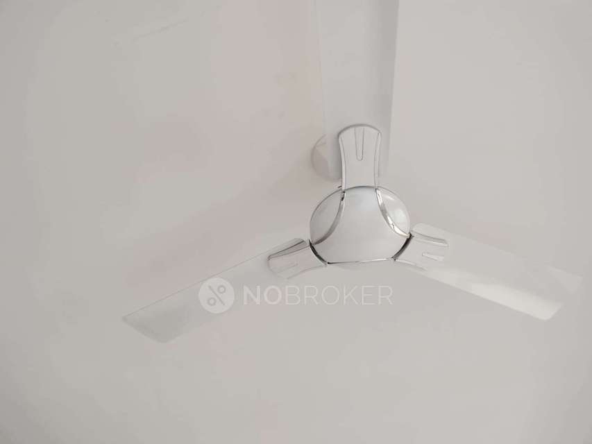 3 BHK Flat In Nyati Elan for Rent  In Wagholi