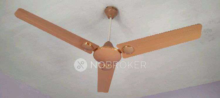 PG for Girls in Pallikaranai