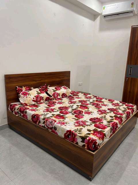 PG for Anyone in Sector 69