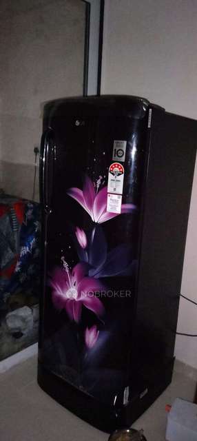 2 BHK Flat In Itrend Life 3 for Rent  In Bhumkar Chowk